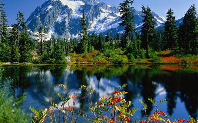 Ἕνας κόσμος γεμάτος ἐκπλήξεις.  Πέμπτη, 19 Μαΐου 2022, 10:00 μ.μ.