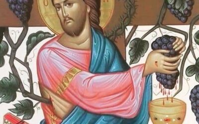 Ὅλη ἡ μεγάλη καὶ παγκόσμια καταστροφὴ ἔρχεται γιὰ ἕνα μεγάλο «ἐγώ», γιὰ ἕνα μεγάλο «θέλω» καὶ γιὰ ἕνα μεγάλο «δὲν μπορῶ». Ὑπάρχουν ἀνάμεσά μας πολλοὶ καὶ θανάσιμοι λύκοι.  22 Μαΐου2024