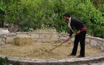 Ὁ Θεός θά μᾶς βοηθήσει μέ τρόπο πού δέν περιμένουμε. Δικό μας ἔργο νά ποῦμε τό ὄχι. Ἔρχεται ἐμβόλιο. 24 Δεκεμβρίου 2025