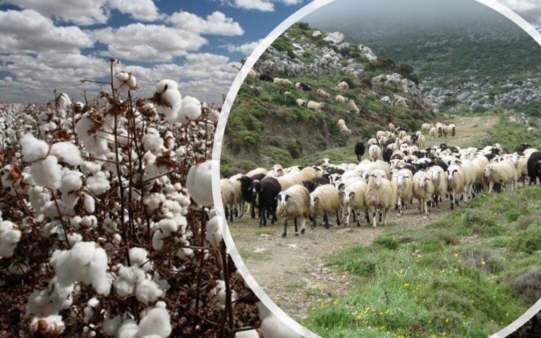 Ἐθνικά, Τέμπη, Διωγμὸς Ἀγροτῶν, νέα κόμματα, Διεθνῆ. Ξανὰ μοιράζεται ὁ κόσμος.  3ος παγκόσμιος πόλεμος;  Πρόσκληση.  Κυριακὴ 11 Ἰανουαρίου 2026, 9:00 μ.μ.